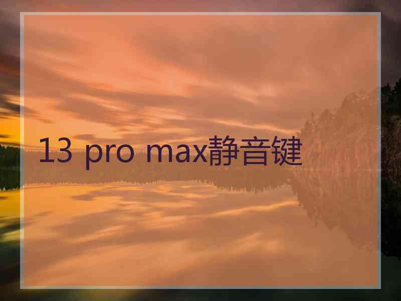 13 pro max静音键