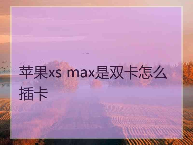 苹果xs max是双卡怎么插卡