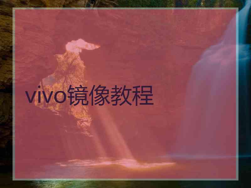 vivo镜像教程