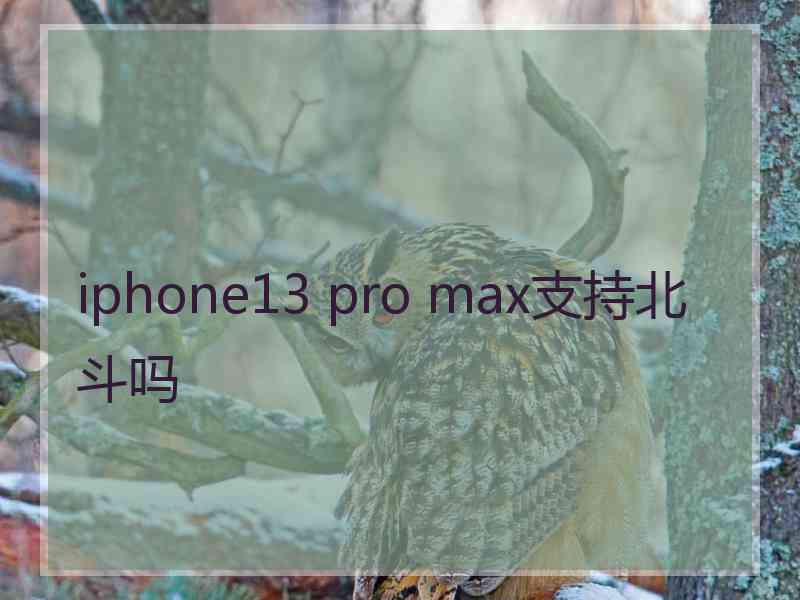 iphone13 pro max支持北斗吗