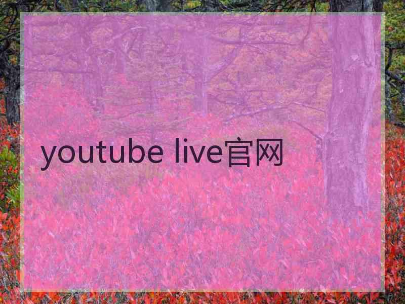 youtube live官网