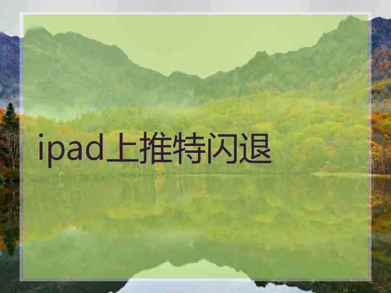 ipad上推特闪退