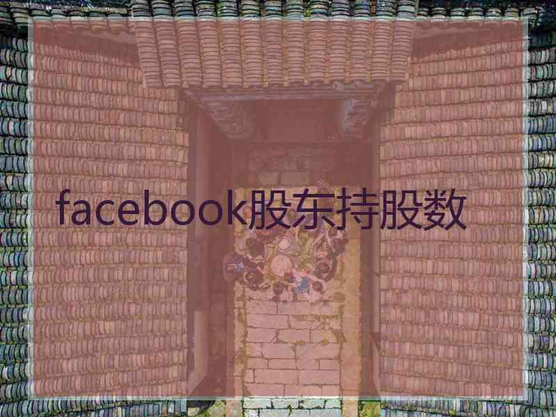 facebook股东持股数