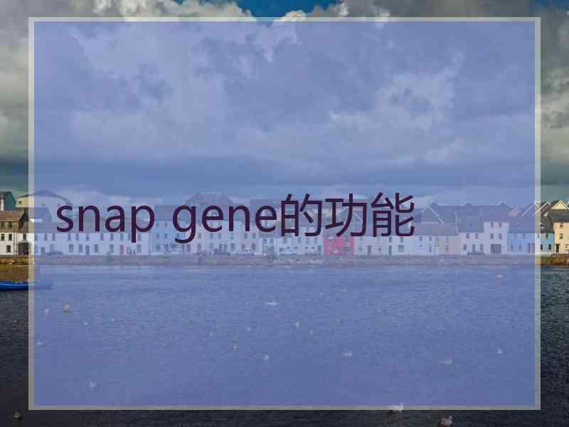 snap gene的功能