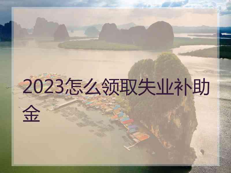 2023怎么领取失业补助金