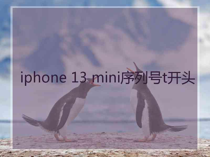 iphone 13 mini序列号t开头