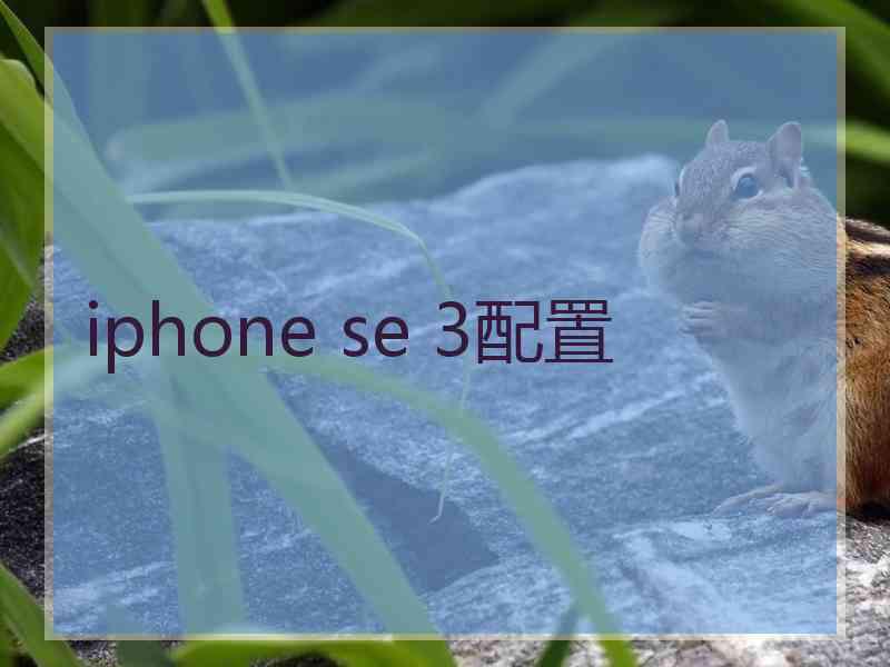 iphone se 3配置