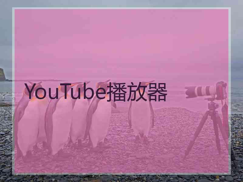 YouTube播放器