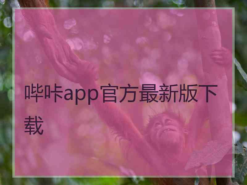 哔咔app官方最新版下载