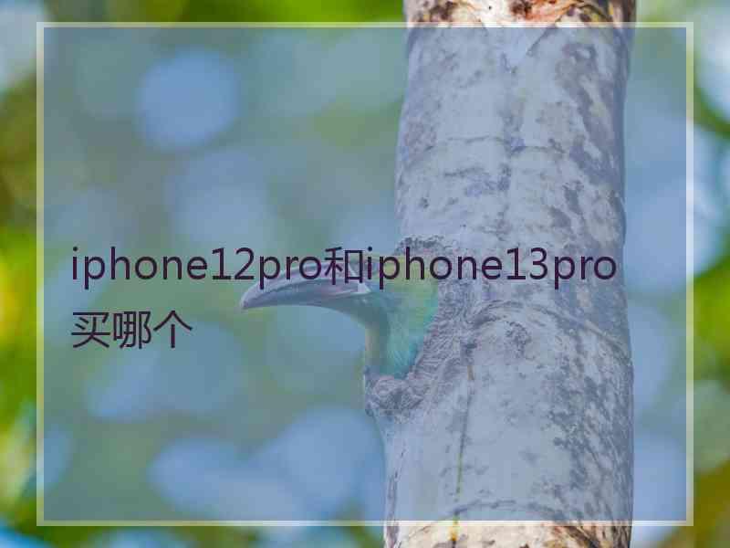 iphone12pro和iphone13pro买哪个