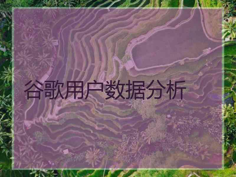 谷歌用户数据分析