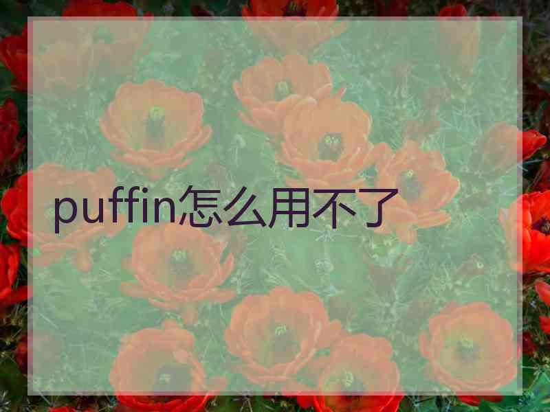 puffin怎么用不了