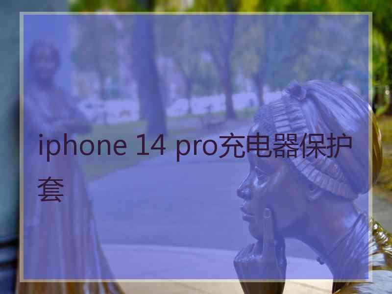 iphone 14 pro充电器保护套