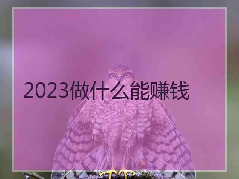 2023做什么能赚钱