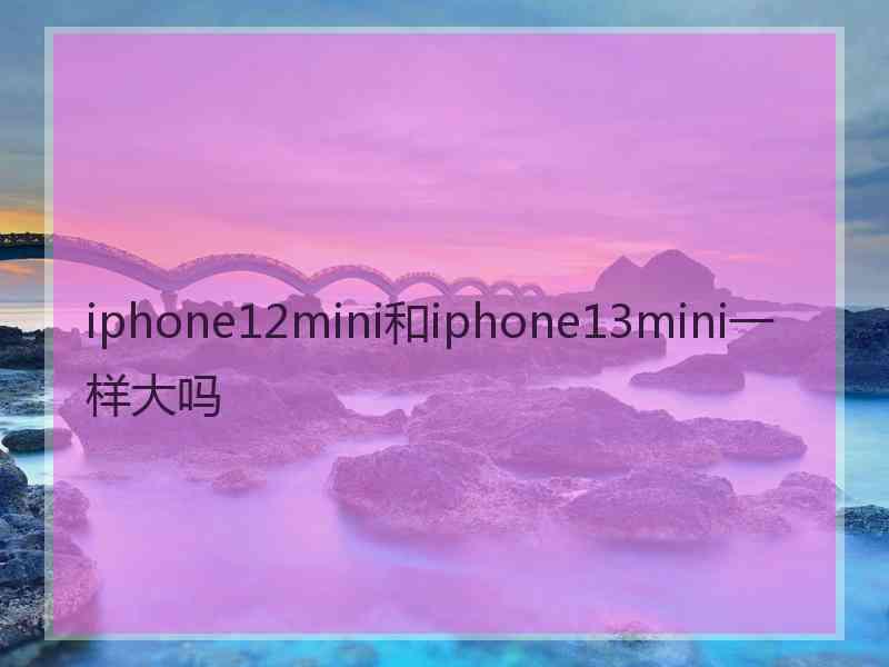 iphone12mini和iphone13mini一样大吗