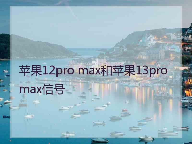 苹果12pro max和苹果13promax信号