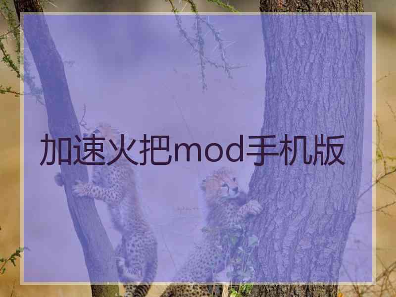 加速火把mod手机版