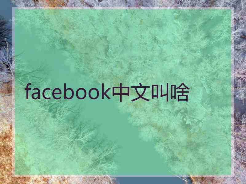 facebook中文叫啥