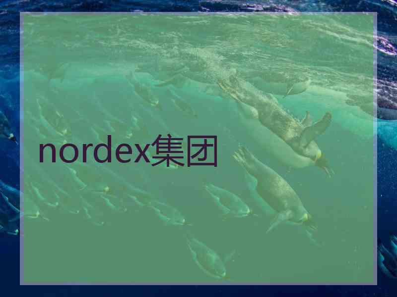 nordex集团