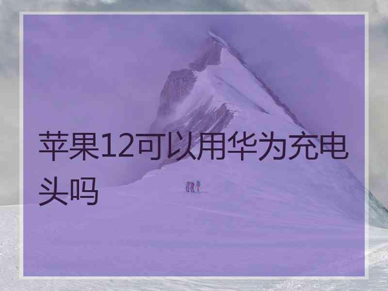 苹果12可以用华为充电头吗