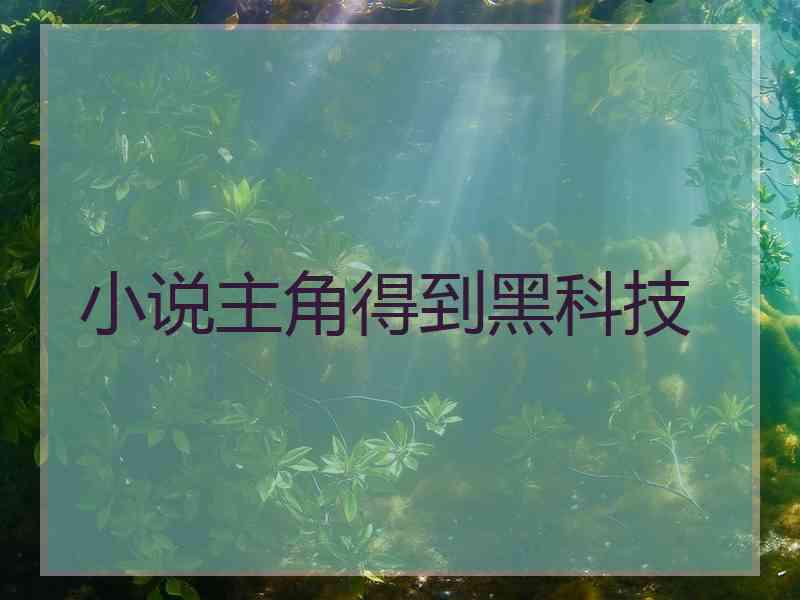 小说主角得到黑科技