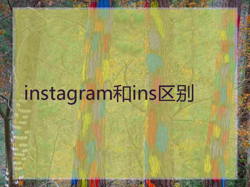 instagram和ins区别