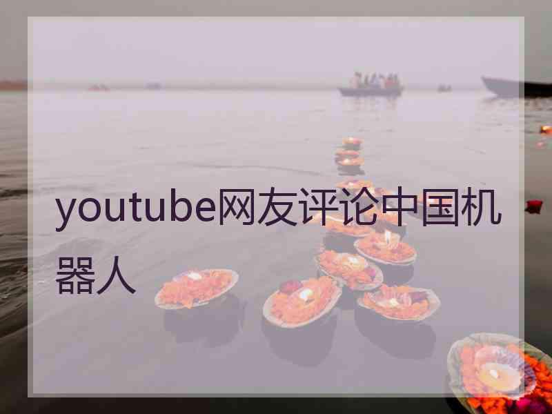 youtube网友评论中国机器人