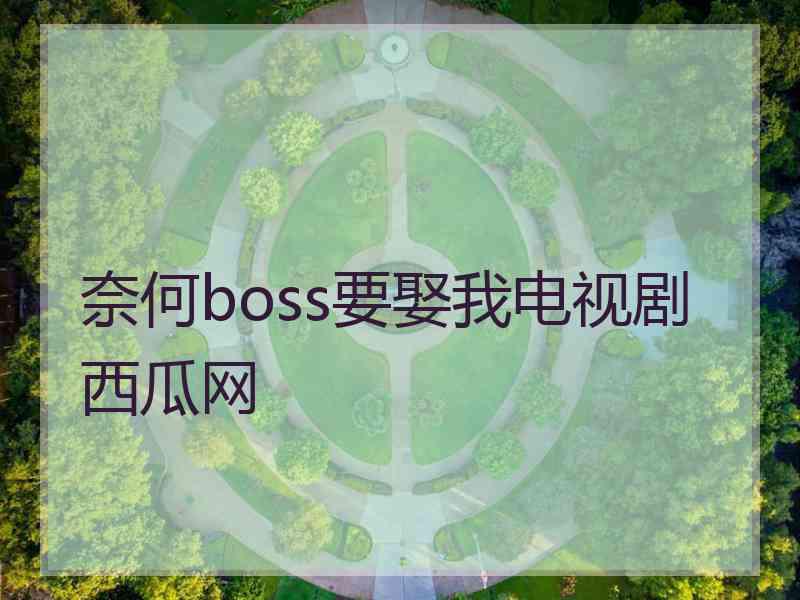 奈何boss要娶我电视剧西瓜网