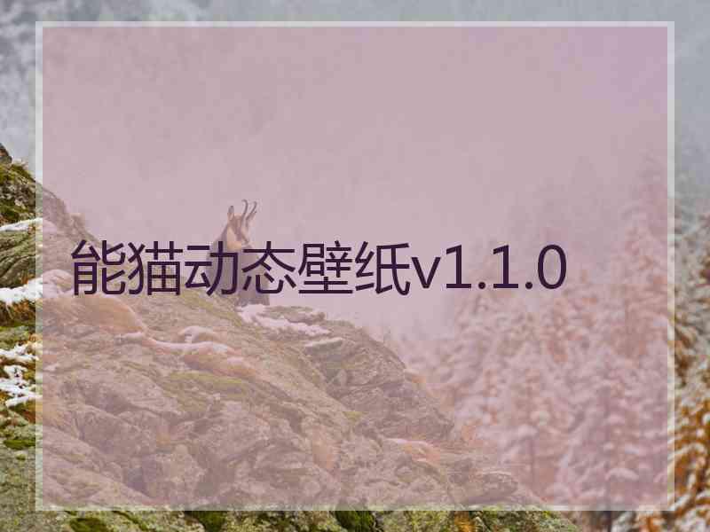 能猫动态壁纸v1.1.0