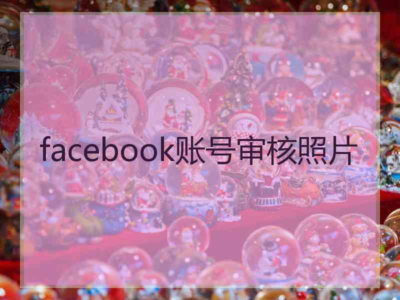 facebook账号审核照片