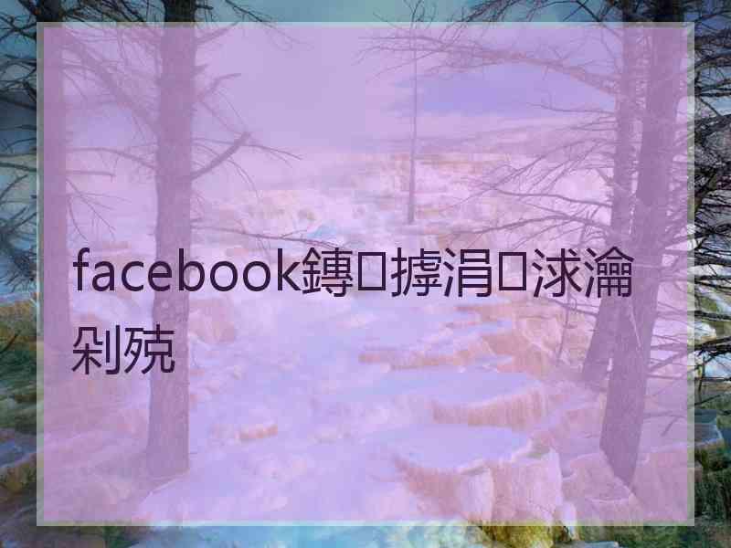 facebook鏄摢涓浗瀹剁殑