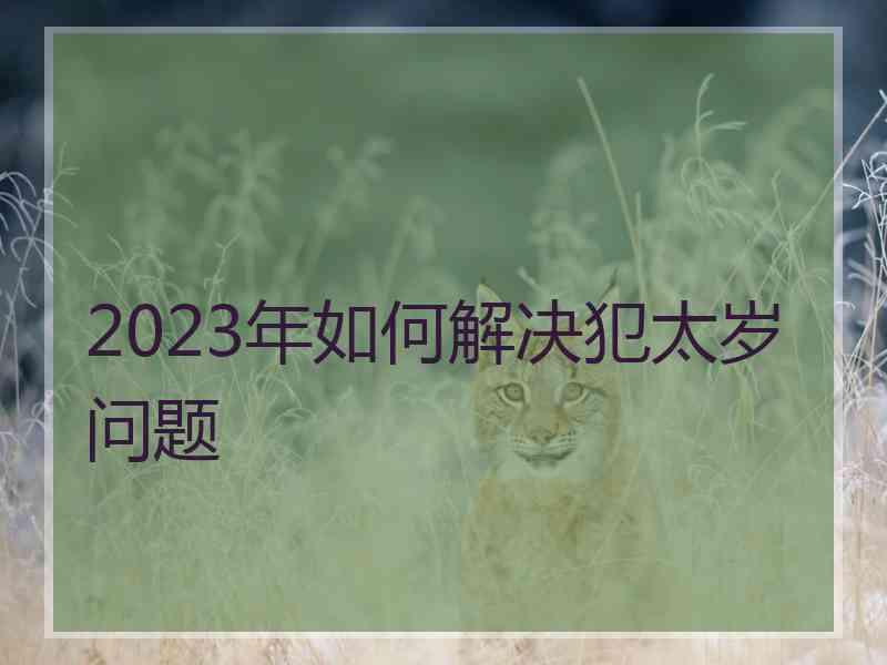 2023年如何解决犯太岁问题