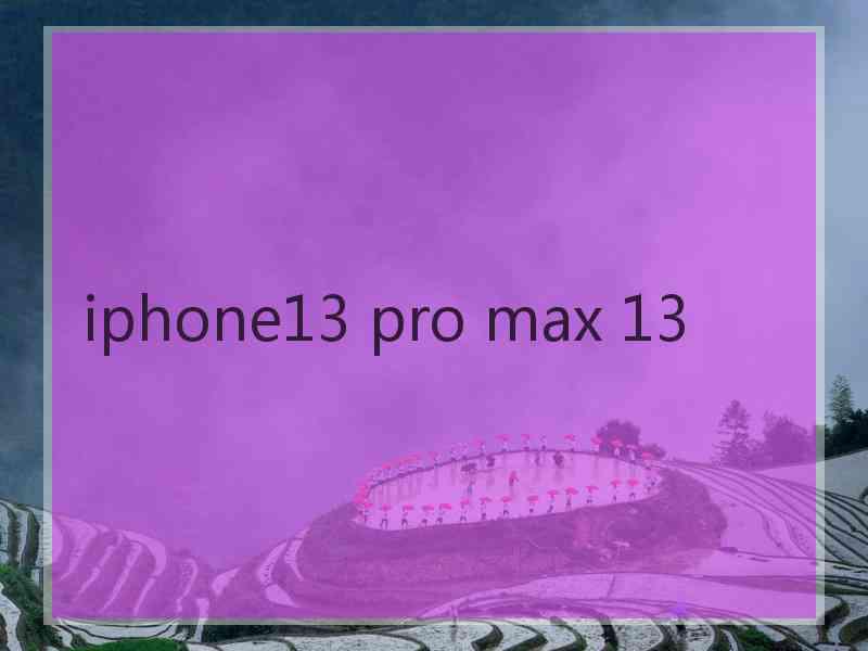 iphone13 pro max 13