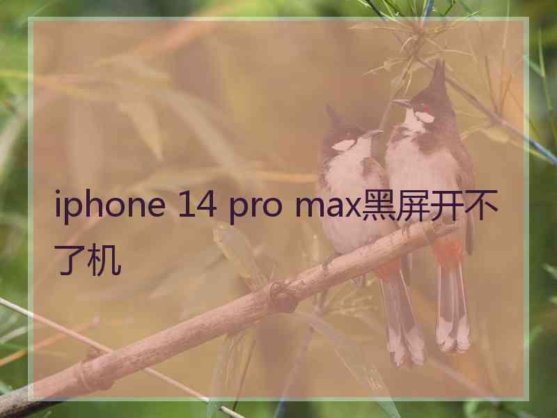 iphone 14 pro max黑屏开不了机