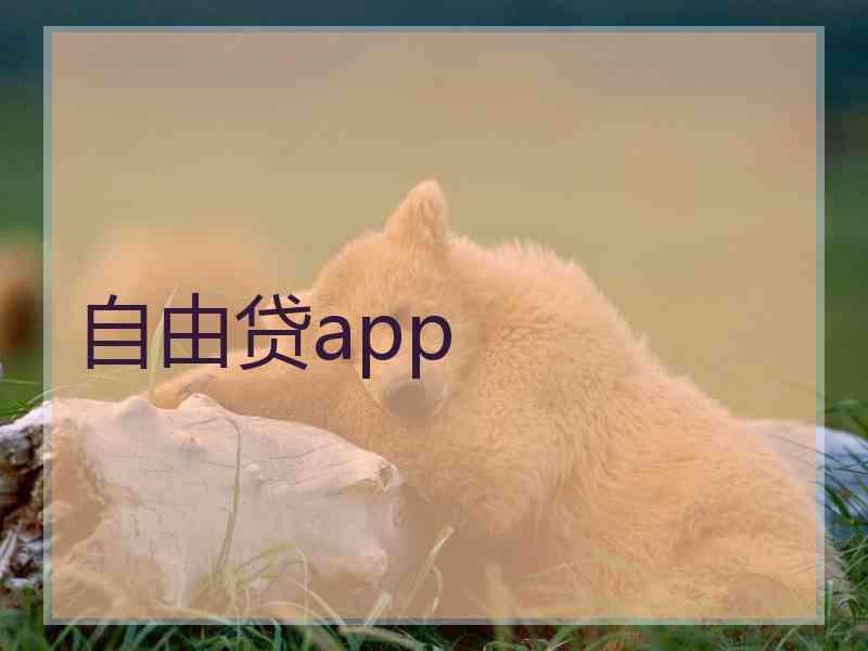 自由贷app