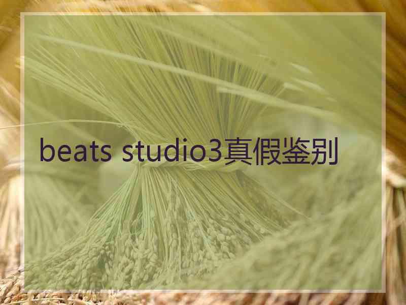 beats studio3真假鉴别