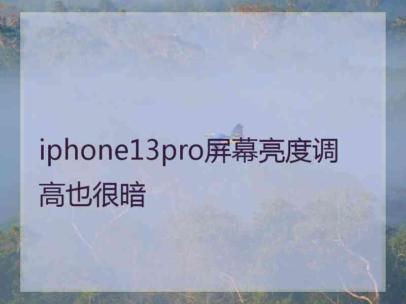 iphone13pro屏幕亮度调高也很暗