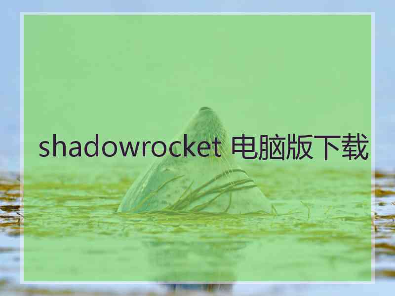 shadowrocket 电脑版下载