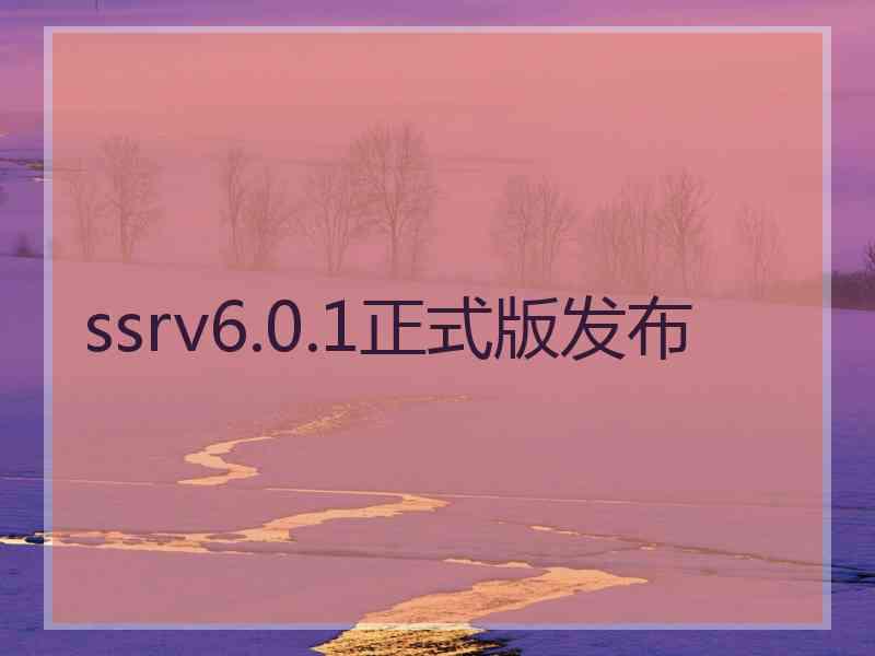 ssrv6.0.1正式版发布