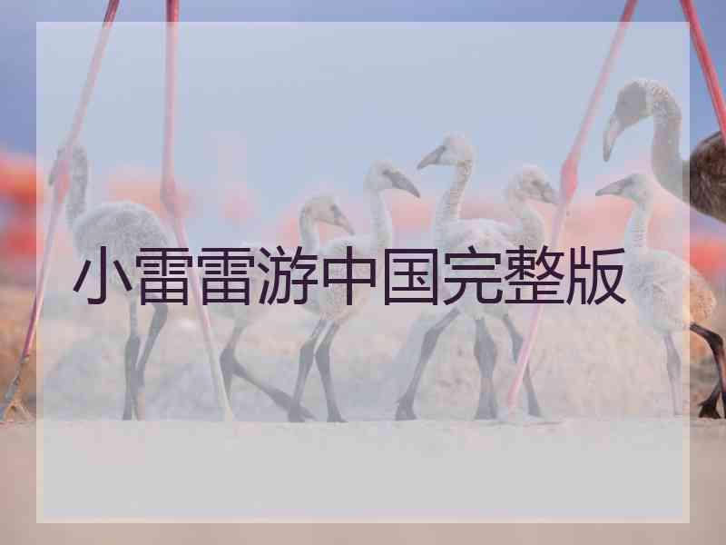 小雷雷游中国完整版