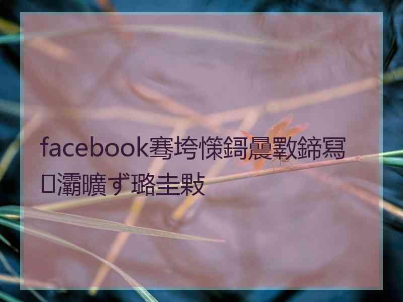 facebook骞垮憡鎶曟斁鍗冩灞曠ず璐圭敤