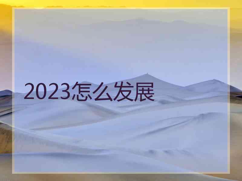 2023怎么发展