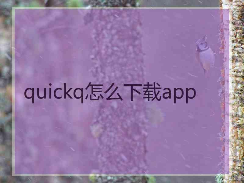 quickq怎么下载app