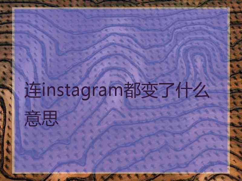 连instagram都变了什么意思