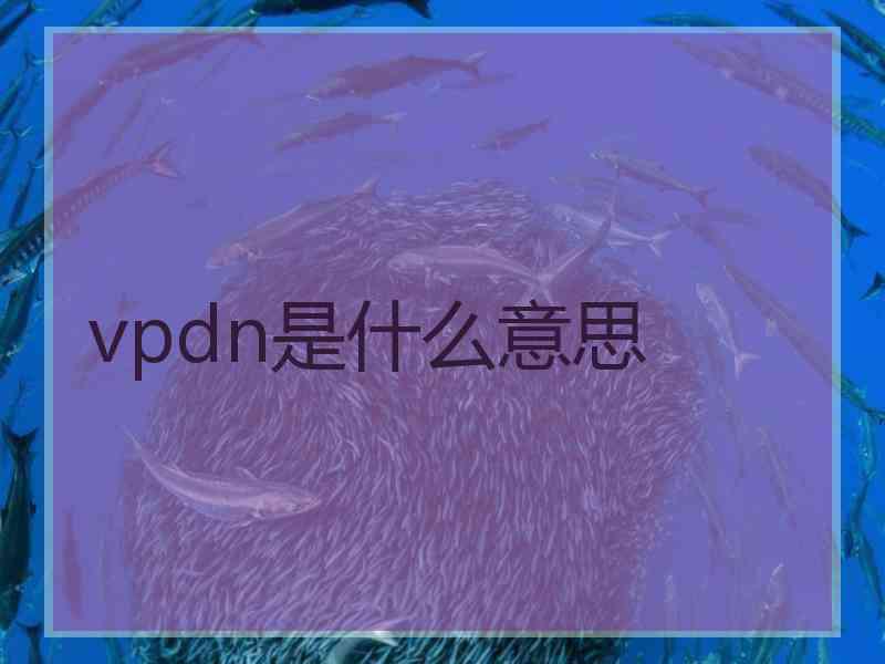 vpdn是什么意思