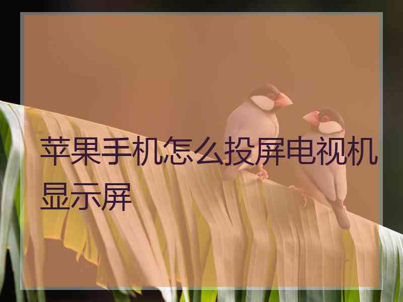 苹果手机怎么投屏电视机显示屏