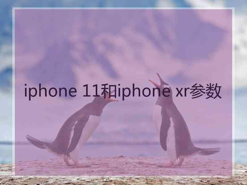 iphone 11和iphone xr参数