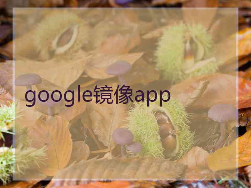 google镜像app