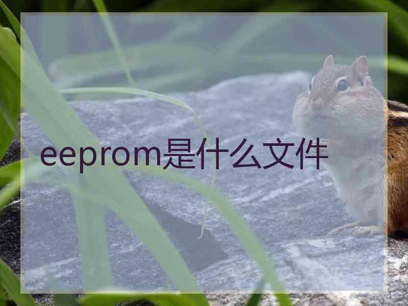 eeprom是什么文件