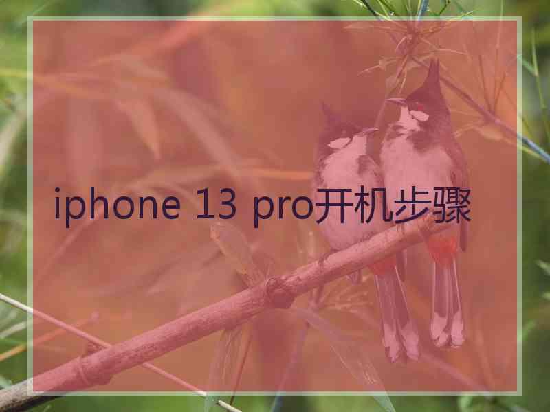 iphone 13 pro开机步骤